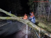 Baum auf Straße, B468, 21.12.2023
